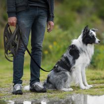 Entdecke die schwarze Schleppleine für Hunde ✔️ Stark, wetterfest und komfortabel ✔️ Wähle deine Länge und bestelle einfach online bei www.hoezo-kado.de