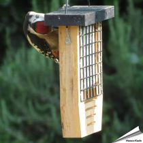 Energieblockhalter für Spechte