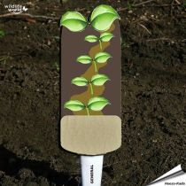 Veggie Stick - Allgemein
