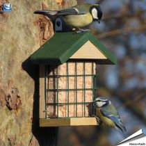 Wand vetblokhouder Ohio