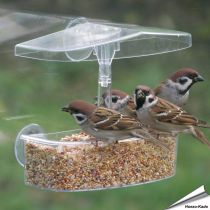 Observer™ - Raamvoederhuisje