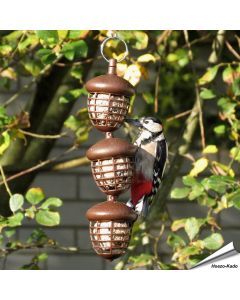 Acorn - Meisenknödelhalter für Vögel | Futterstation