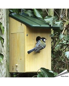 Beobachtungsnistkasten San Francisco (34mm)