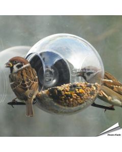 Birdfeeder - Fenster-Vogelfutterstelle - Born in Sweden