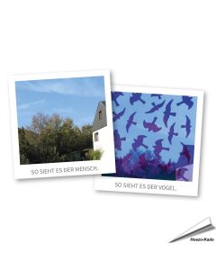 Birdsticker - Set mit 5 Aufklebern und Kunststoffschaber