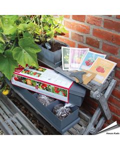 Kinder Obst- und Gemüsekasten