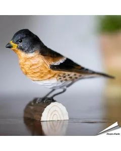 Handgeschnitzter Bergfink in Naturgrösse ✔️ Mit Farben naturgetreu bemalt ✔️ Originelles Geschenk für Vogel- und Naturliebhaber ➤ www.hoezo-kado.de