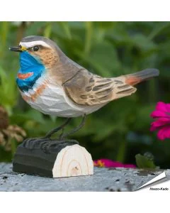 Handgeschnitztes Blaukehlchen in Naturgrösse ✔️ Mit ungiftigen Farben naturgetreu bemalt ✔️ Originelles Geschenk für Vogel- und Naturliebhaber ✔️ Kaufe online bei Hoezo-Kado