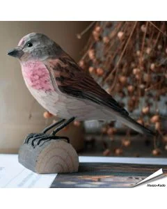 DecoBird - Bluthänfling