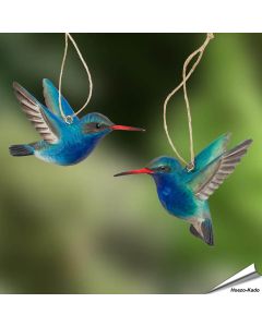 Breitschnabelkolibris (Cynanthus latirostris) | Handgeschnitzt