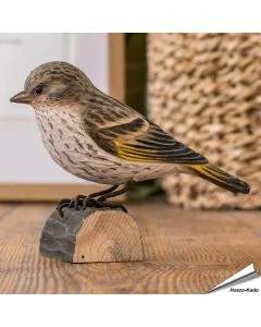 Handgeschnitzter, nordamerikanischer Fichtenzeisig in Naturgrösse ✔️ Mit ungiftigen Farben naturgetreu bemalt ✔️ Originelles Geschenk für Vogel- und Naturliebhaber ✔️ Kaufe online bei Hoezo-Kado