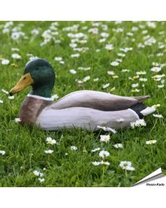 Handgeschnitzter Holzvogel in Naturgrösse; mit Farben naturgetreu bemalt.