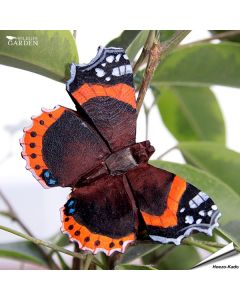 Die DecoButterfly Serie von WildlifeGarden kann sowohl als Dekoration wie auch als Geschenk verwendet werden.