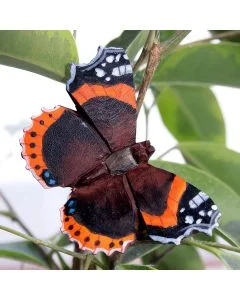 Die DecoButterfly Serie von WildlifeGarden kann sowohl als Dekoration wie auch als Geschenk verwendet werden.
