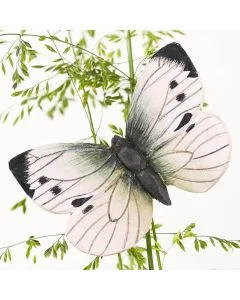 Die DecoButterfly Serie von WildlifeGarden kann sowohl als Dekoration wie auch als Geschenk verwendet werden.