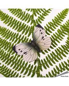DecoButterfly Groot Koolwitje van Wildlife Garden. Handgesneden houten koelkastmagneet met lichte vleugels, zwarte punten en draad voor bloemendecoratie.