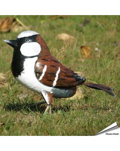 Metallvogel - Haussperling