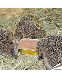 Igelfutter - Bio Pastete für Igel (100g)