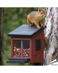 Die Eichhörnchen Futterbox kann mit Nüssen oder speziellem Eichhörnchenfutter gefüllt werden - das Eichhörnchen kann das Menu einfach durch das grosse Fenster auf der Vorderseite sehen.