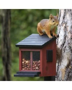 Die Eichhörnchen Futterbox kann mit Nüssen oder speziellem Eichhörnchenfutter gefüllt werden - das Eichhörnchen kann das Menu einfach durch das grosse Fenster auf der Vorderseite sehen.