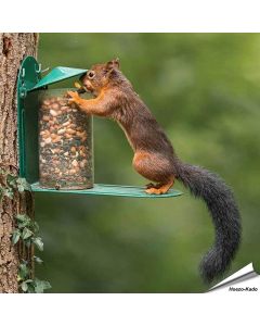 Eichhörnchenpaket