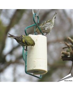 Energiekuchen für Vögel mit Insekten (500ml)