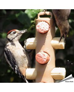 Energierollenpaket - Energierollen (12 x 90g) + Halter - Hoezo-Kado