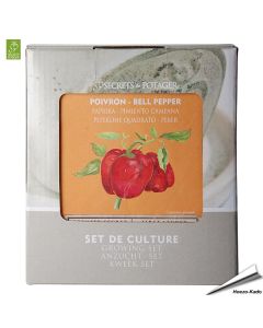 Anzuchtset - Paprika