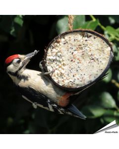 Gefüllte Kokosnuss mit Mehlwürmer - halb ✔️ Hochwertige Energiequelle für wildlebende Vögel ✔️ Leicht zu hängen ➤ Jetzt online kaufen bei Hoezo-Kado