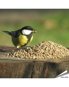 Hanfsamen f&uuml;r Wildv&ouml;gel online kaufen? www.hoezo-kado.de