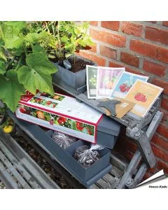 Kinder Obst- und Gemüsekasten