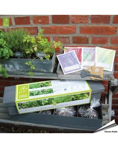 Küchenkräuter - Pflanzenkasten
