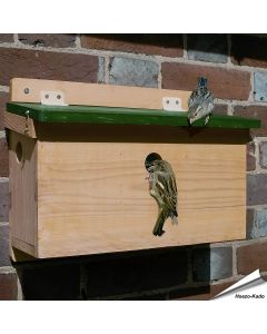 Kolonienistkasten f&uuml;r Haussperlinge (3 x 34mm)