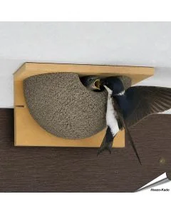 Diese Kunst-Nisthilfe kann am besten unter Dachvorsprüngen von Gebäuden montiert werden. Mehlschwalben brüten gerne in Kolonien, so dass es auch durchaus sinnvoll ist, mehrere Nisthilfen nebeneinander anzubringen.