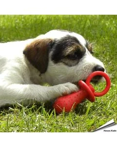 Little Petface - Kauspielzeug-Set für Welpen (4 Spielzeuge)