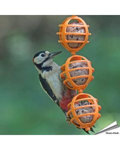 Robuster, dreifacher Meisenkn&ouml;delspender f&uuml;r Wildv&ouml;gel ✔️ Einfach zu bef&uuml;llen & aufzuh&auml;ngen ✔️ F&uuml;r Meisenkn&ouml;del ohne Netz ➤ Bestelle bei Hoezo-Kado