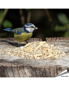 Futtermischung für kleine Vögel - Hi-Energy