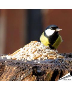 Futtermischung für kleine Vögel - Hi-Protein