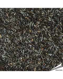 Niger-Samen für viele verschiedene Vogelarten ✔️ Hohen Gehalt an Fett und Eiweiß ✔️ Hochwertiges Einzelfuttermittel für Wildvögel ✔️ Direkt online bestellen bei Hoezo-Kado