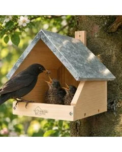 Amsel-Nistkasten von Wildlife Home an einem Baumstamm mit Zinkdach, während eine schwarze Amsel zwei Jungvögel im offenen Nestkasten füttert.