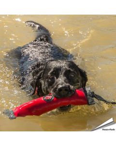 Outdoor Paws - Apportierer