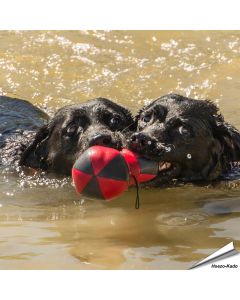 Outdoor Paws - Aqua Hantel
