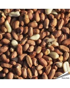 Premium Erdnüsse (1 kg)