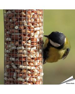 Premium Erdnusssäulen-Mix