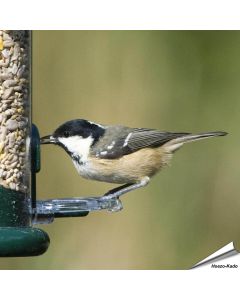 Ring-Pull Sitzringe für Futtersäulen