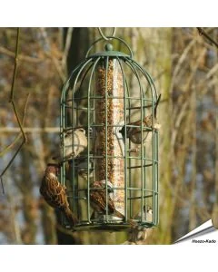 Stelle sicher, dass deine Vögel immer genug zu fressen haben mit unserem Futtersilo mit Schutzkäfig für Sämereien!
