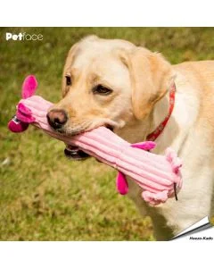 Farmyard Buddies - Schweinchen-Stock