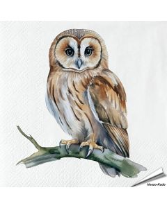 Servietten - Eulenart - Motiv | 20 Stück | Hoezo-Kado
