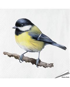 Kohlmeise-Servietten - Vogel-Motiv | 20 Stück | Hoezo-Kado