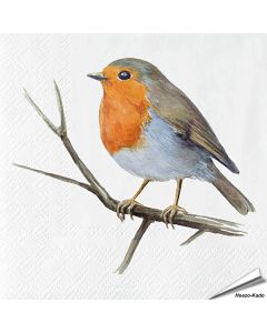 Servietten - Rotkehlchen - Print | 20 Stück | Hoezo-Kado